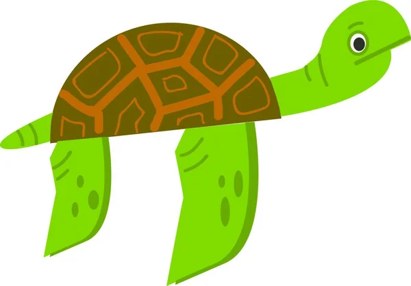 Illustration Dessin Animé Tortue Verte Sur Fond Blanc — Image vectorielle