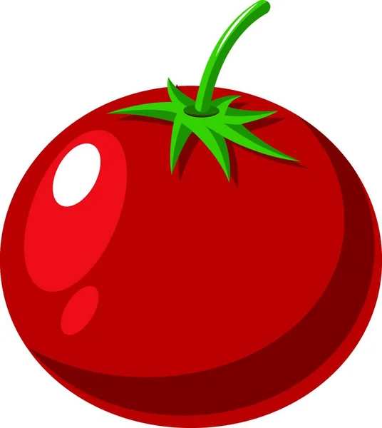 红色番茄图标 矢量说明 — 图库矢量图片