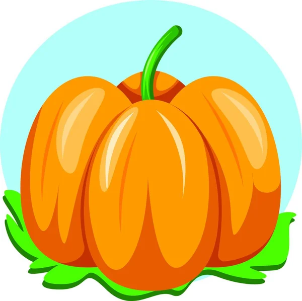 Big Orange Pumpkin Illustration Vector White Background — Stock Vector
