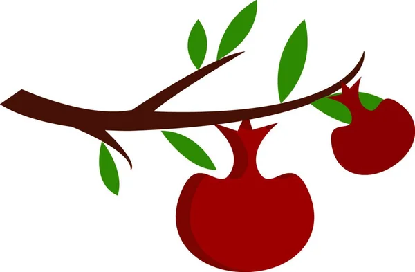 Två Röda Äpplen Brun Trädgren Med Gröna Blad Vektor Illustration — Stock vektor