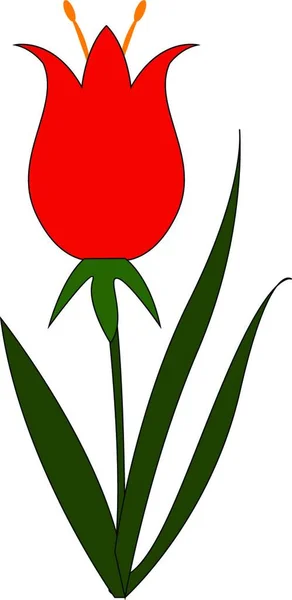 Vacker Blomma Med Kronblad Rött Och Brunt Skugga Vektor Färg — Stock vektor