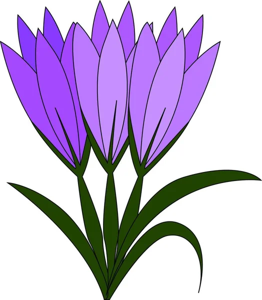 Фіолетові Квіти Зеленим Листям Векторні Ілюстрації Білому Тлі — стоковий вектор