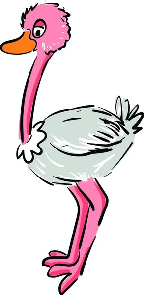 白い背景に漫画のピンクと白のダチョウのベクトルイラスト — ストックベクタ