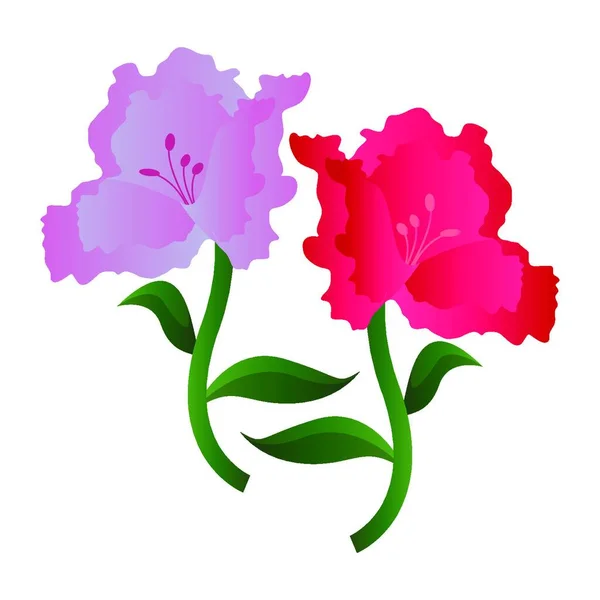 Illustration Vectorielle Fleurs Lila Azalée Rose Sur Fond Blanc — Image vectorielle