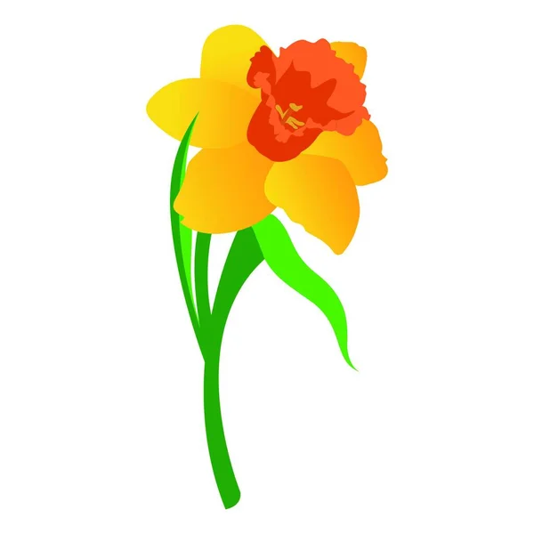 Ilustración Vectorial Flores Naranjas Narcisas Amarillas Con Hojas Hierba Sobre — Vector de stock
