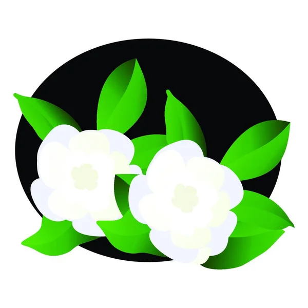 Vector illustration of white gardenia  flowers with green leafs in  black circle on white background.