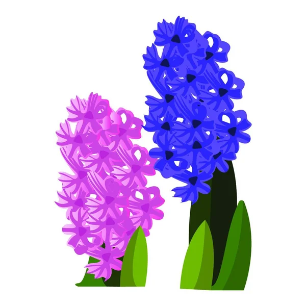Vektorillustration Von Rosa Und Blauen Hyazinthenblüten Mit Grünen Blättern Auf — Stockvektor