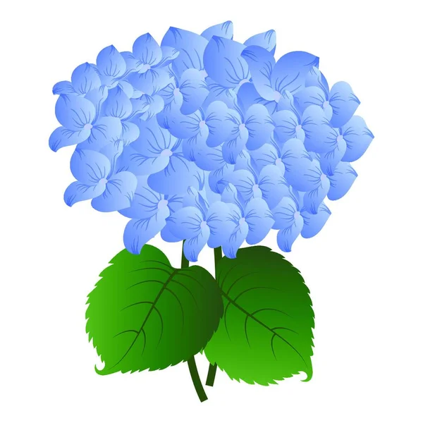 Векторна Ілюстрація Синя Квітка Гортензії Зеленим Листям Білому Тлі — стоковий вектор