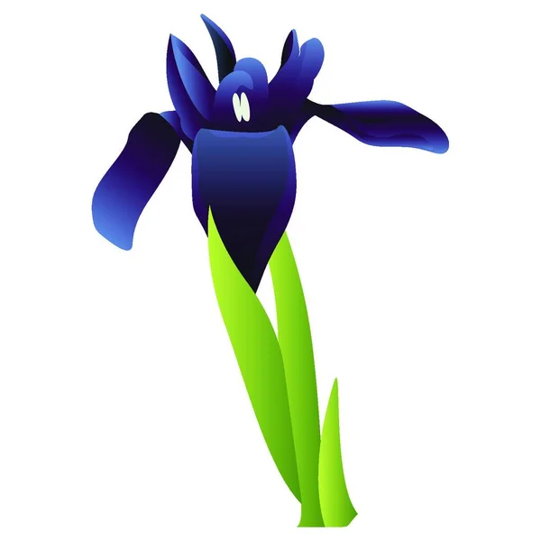 Vektorová Ilustrace Modrého Iris Zelenou Listinou Bílém Pozadí — Stockový vektor