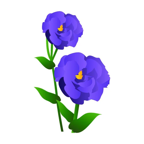 Векторна Ілюстрація Фіолетових Квітів Ліліантуса Зеленим Листям Білому Тлі — стоковий вектор