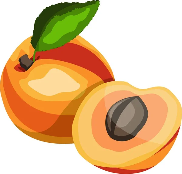 Abricot Avec Illustration Vectorielle Fruits Dessin Animé Feuille Verte Sur — Image vectorielle