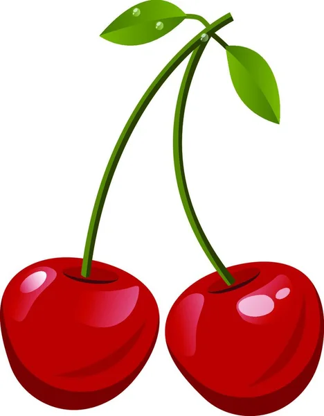 Červená Cherrys Zelenými Listovými Kreslené Ilustrace Bílém Pozadí — Stockový vektor