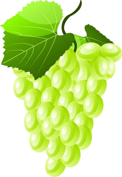 Karikatur Weißer Trauben Mit Grünem Blattvektor Auf Weißem Hintergrund — Stockvektor