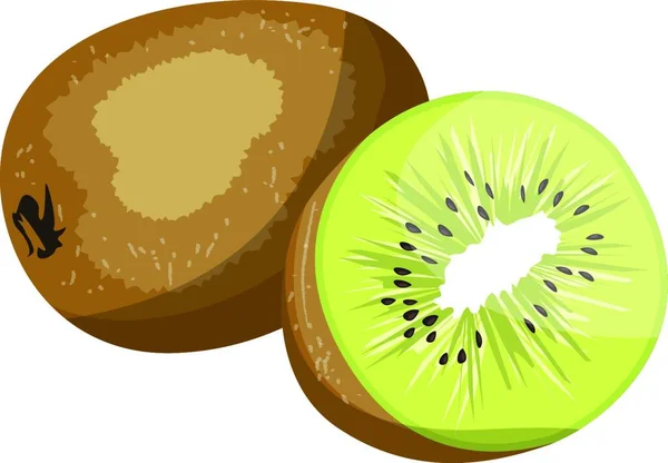 Braune Kiwi Früchte Und Grüne Kiwi Halb Vektor Illustration Auf — Stockvektor