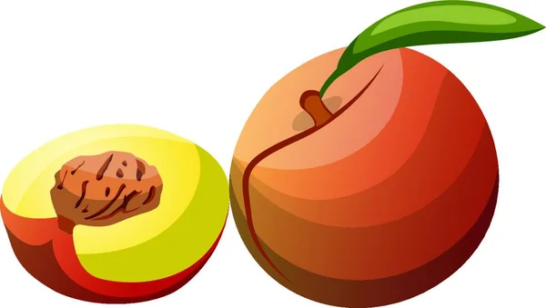 Cartoon Orange Red Yellow Peach Fruit Green Leaf Half Peach — Stock Vector