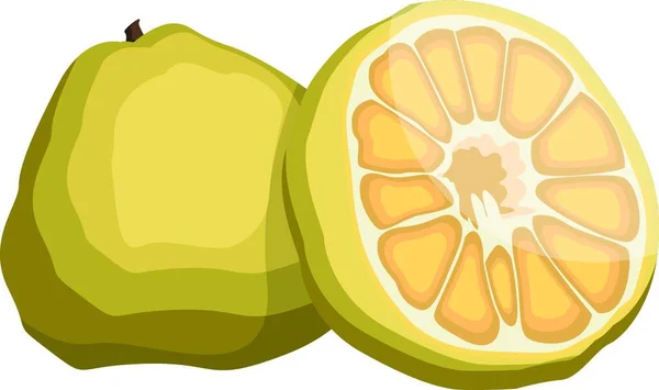 Ilustración Vectorial Fruta Fea Amarilla Medio Fruto Amarillo Con Semillas — Archivo Imágenes Vectoriales