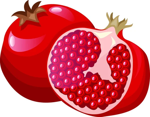Vector Illustration Bright Red Pomegranate Fruit Half Pomegranat Red Seeds — Stock Vector