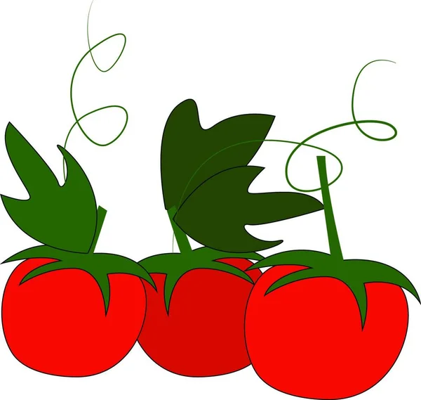 Drei Rote Kirschtomaten Mit Grünen Blättern Und Blattstiel Vektorillustration Auf — Stockvektor