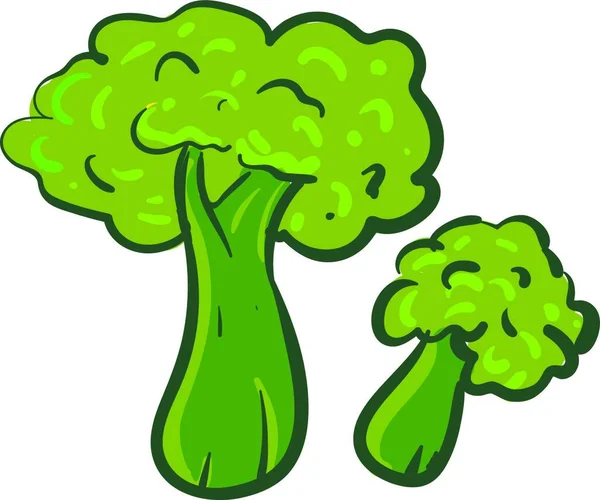 Enkel Broccoli Vektor Illustration Vit Bakgrund — Stock vektor