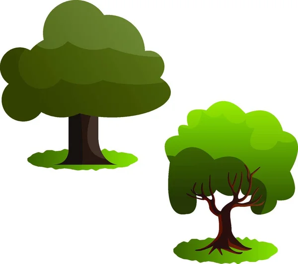 Kilka Zielonych Drzew Ilustracji Wektorowych Białym Tle — Wektor stockowy