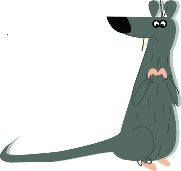 Eine Graue Ratte Mit Langem Schwanz Vektor Oder Farbabbildung — Stockvektor