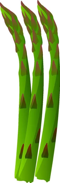 Groene Asperge Vector Illustratie Van Groenten Witte Achtergrond — Stockvector