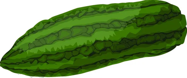 Grön Bitter Melonvektor Illustration Grönsaker Vit Bakgrund — Stock vektor