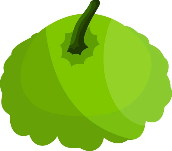Светло Зеленая Ромашка Темно Зеленой Векторной Иллюстрацией Овощей Белом Фоне — стоковый вектор