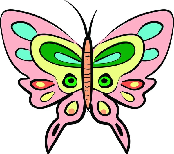 Diferente Color Buterfly Ilustración Vector Sobre Fondo Blanco — Vector de stock