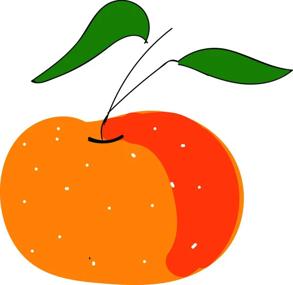 Mandarine Mit Grünen Blättern Illustrationsvektor Auf Weißem Hintergrund — Stockvektor