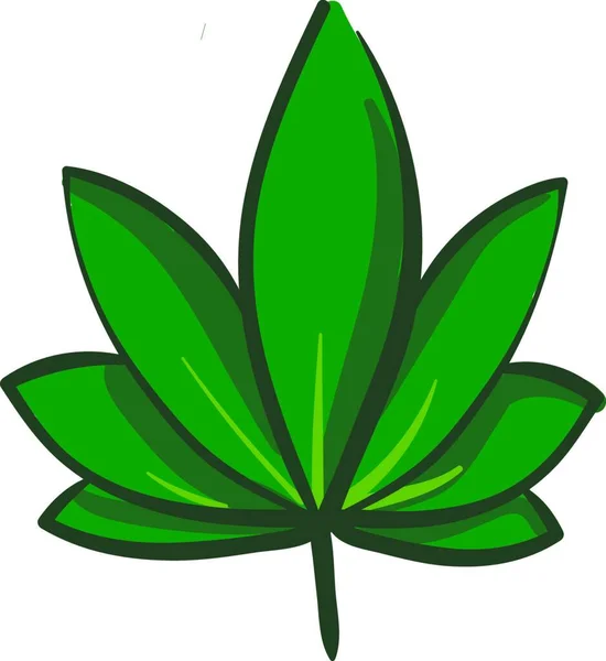 白い背景に大きなマリファナの葉のイラストベクトル — ストックベクタ