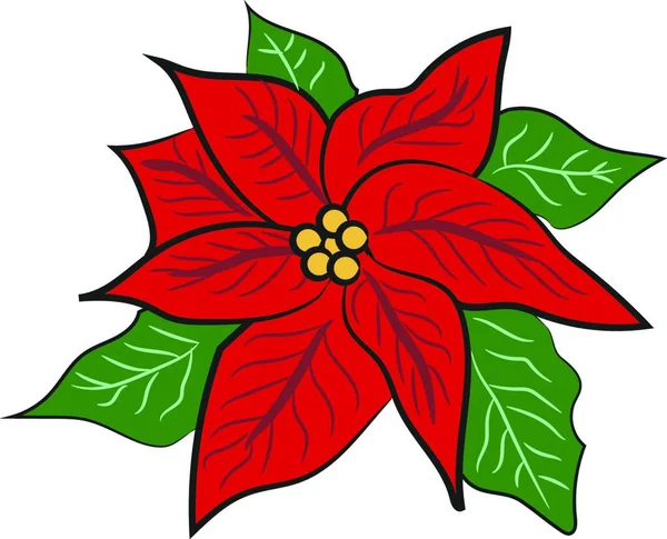 Decoração Flor Natal Vermelho Com Folhas Verdes Desenho Cor Vetorial — Vetor de Stock