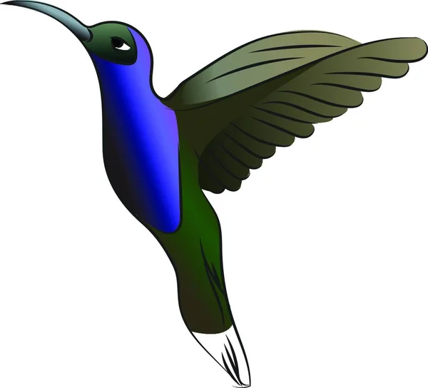 Hermoso Pequeño Pájaro Verde Azul Conocido Como Dibujo Ilustración Color — Vector de stock