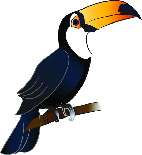 Oiseau Toucan Avec Bec Orange Vif Est Assis Sur Dessin — Image vectorielle