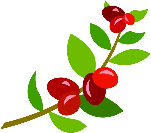 Vector Illustration Red Cherry — Stock Vector