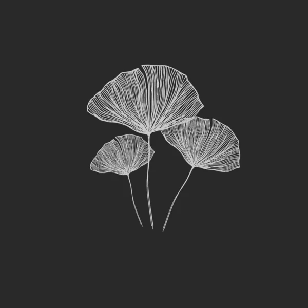 Portrait Three Black White Flowers Black Background Looks Beautiful Vector — Stock Vector