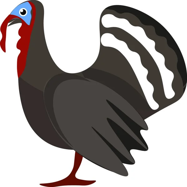 一只土耳其鸟 有蓝色秃头 有独特的红色肉质波浪或突起 悬挂在嘴矢量颜色图或插图的顶部 — 图库矢量图片