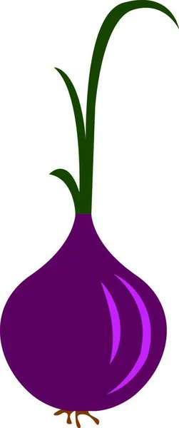 Oignon Peau Violette Aux Grandes Feuilles Vecteur Dessin Couleur Illustration — Image vectorielle