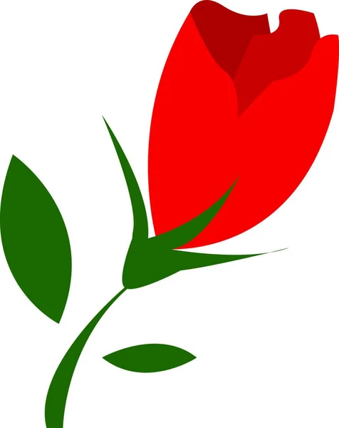 Bellissimo Fiore Tulipano Rosso Con Foglia Verde Stelo Disegno Colori — Vettoriale Stock