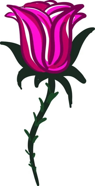 Una Rosa Roja Con Dibujo Ilustración Color Vectorial Rama Larga — Vector de stock