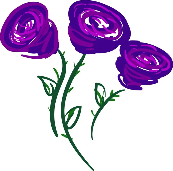 Pintura Brillante Tres Rosas Púrpuras Vector Color Dibujo Ilustración — Archivo Imágenes Vectoriales