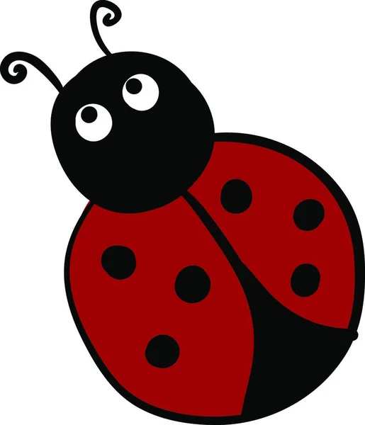 Ladybug White Background — Stock Vector