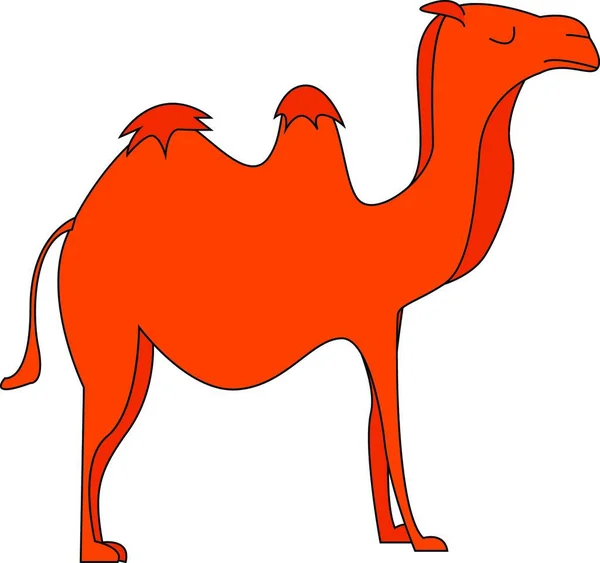 Silhouette Camel Its Humps Vector Color Drawing Illustration — Stock Vector