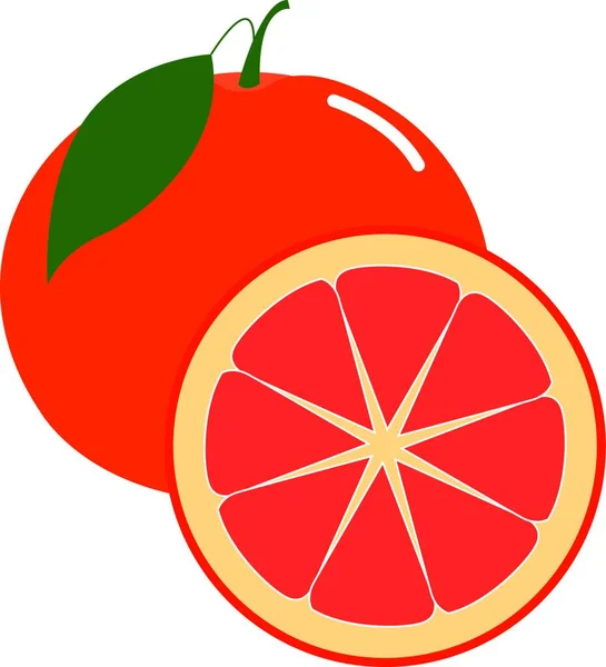 Friss Grapefruit Illusztráció Vektor Fehér Háttérben — Stock Vector