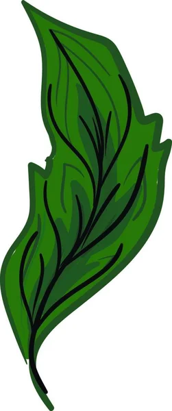 Dibujo Una Pluma Verde Con Varias Paletas Negras Vector Color — Archivo Imágenes Vectoriales