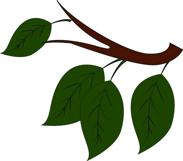 Beyaz Arka Planda Kahverengi Şube Vektör Illustration Üzerinde Dört Yeşil — Stok Vektör