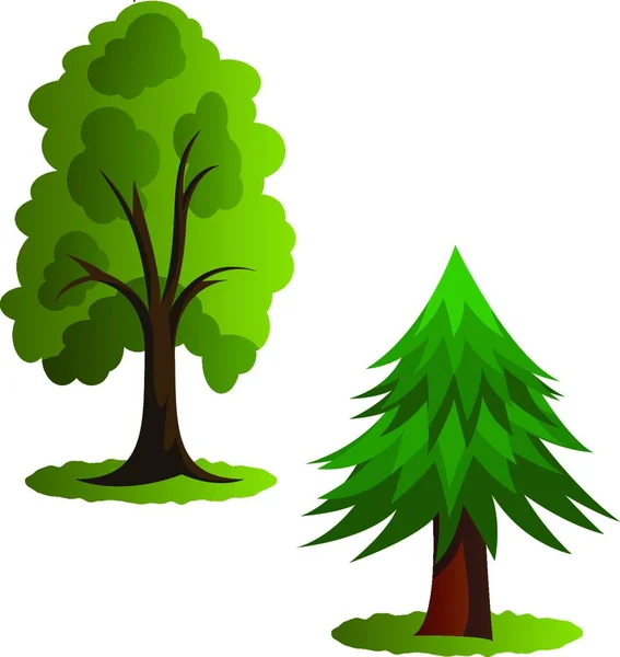 Beyaz Arkaplanda Bir Çift Yeşil Ağaç Vektör Çizimi — Stok Vektör