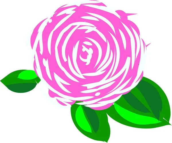 Een Roze Witte Roos Met Groene Bladeren Rond Het Vector — Stockvector