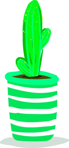Tall Kaktus Dekorativa Pot Vektor Eller Färg Illustration — Stock vektor
