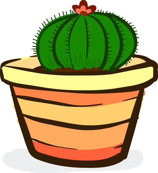Interiör Kaktus Växt Vektor Eller Färg Illustration — Stock vektor